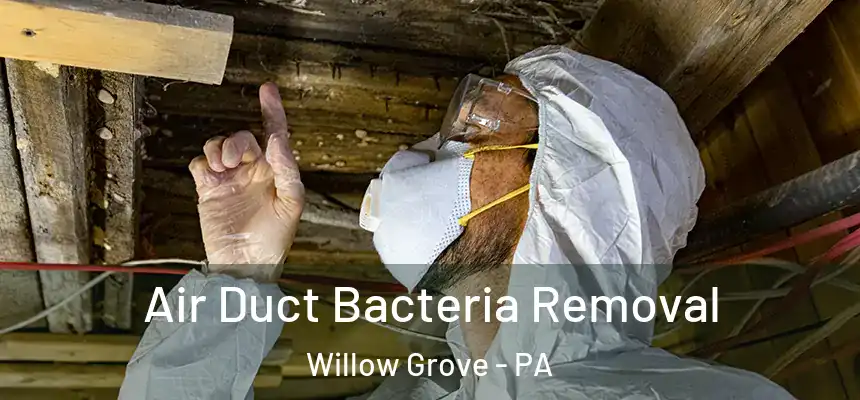  Air Duct Bacteria Removal Willow Grove - PA