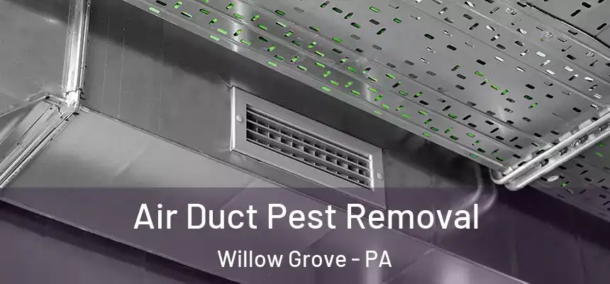  Air Duct Pest Removal Willow Grove - PA