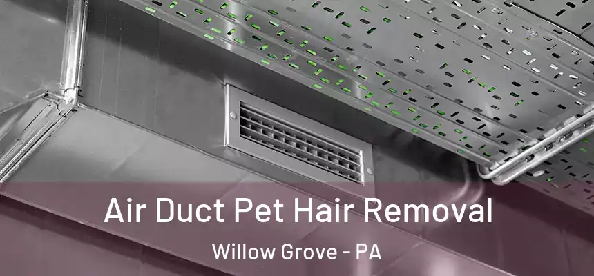  Air Duct Pet Hair Removal Willow Grove - PA