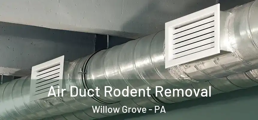  Air Duct Rodent Removal Willow Grove - PA