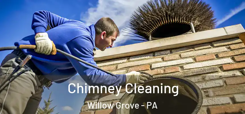  Chimney Cleaning Willow Grove - PA
