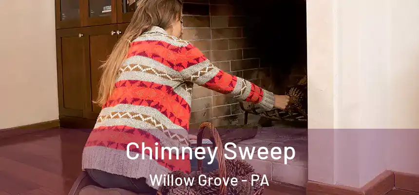  Chimney Sweep Willow Grove - PA
