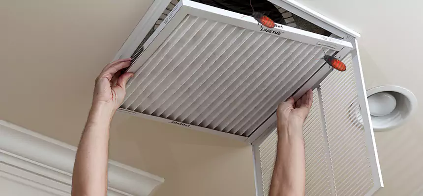 Our Insect Removal from Air Ducts Services in Willow Grove, PA