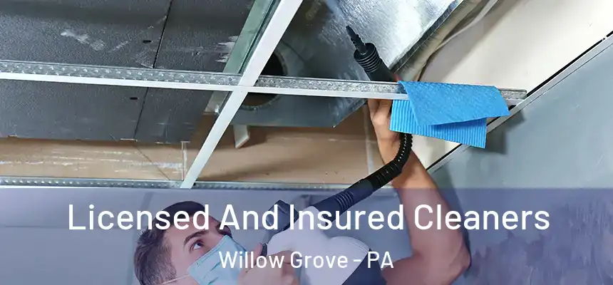  Licensed And Insured Cleaners Willow Grove - PA