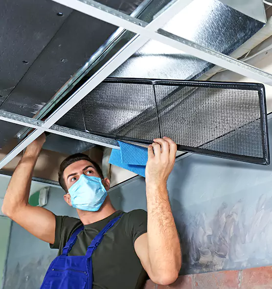 About Air Duct Bacteria Removal in Willow Grove