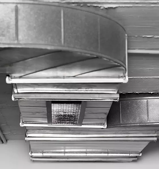 Professional Air Duct Pet Hair Removal in Willow Grove, PA