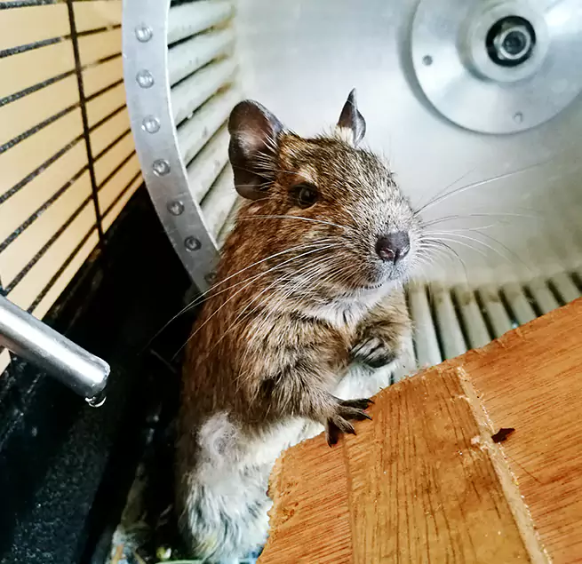 Why Homeowners & Businesses Trust Us Willow Grove, PA