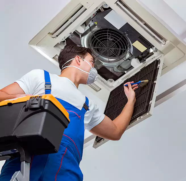 Why Homeowners & Businesses Trust Us in Willow Grove, PA