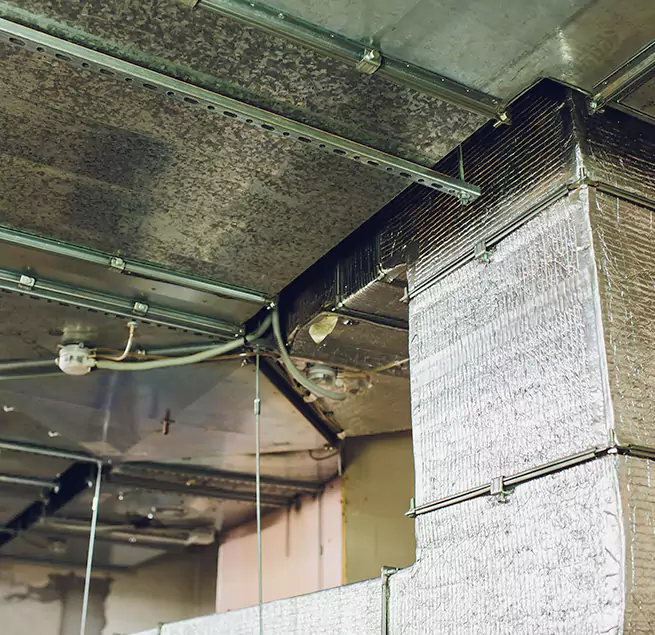 Why Homeowners & Businesses Trust Us in Willow Grove, PA?